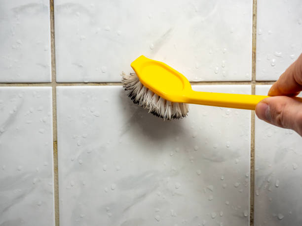 Best Basement Mold Remediation in Big Bear Lake, CA