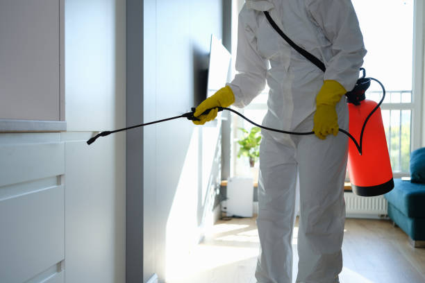 Best Bathroom Mold Remediation in Big Bear Lake, CA