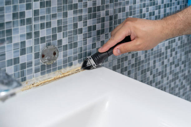  Big Bear Lake, CA Mold Removal Pros